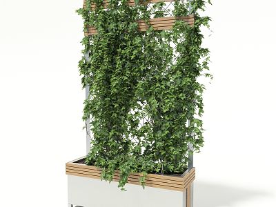 Modern vine flower box model