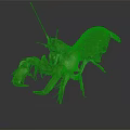 Detailed Realistic Lobster With Long Antennae And Claws On Dark Background
