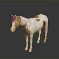 Brown and white spotted horse standing as 3D model on grey background with reflection