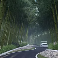 Bamboo Grove with Winding Road White Car and Pink Flowers on Stone Edges