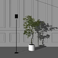 Modern Floor Lamp In Interior With Circular Light Projection And Potted Green Plant