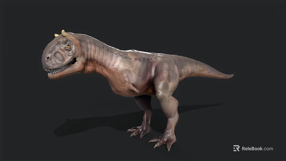 Detailed 3D Dinosaur Model With Head Horns Open Mouth And Textured Skin Isolated On Dark Background 3d model 