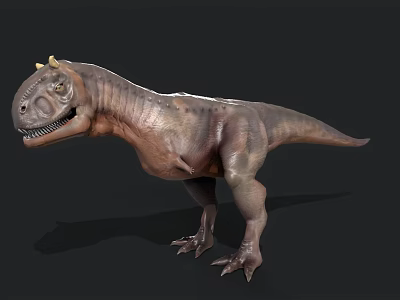 Detailed 3D Dinosaur Model With Head Horns Open Mouth And Textured Skin Isolated On Dark Background 3d model