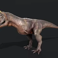 Detailed 3D Dinosaur Model With Head Horns Open Mouth And Textured Skin Isolated On Dark Background