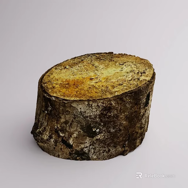 Detailed Natural Tree Stump With Rough Bark And Visible Growth Rings 3d model 