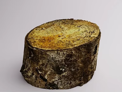 Detailed Natural Tree Stump With Rough Bark And Visible Growth Rings 3d model