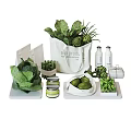 Fresh Green Vegetables Cabbage Artichoke with Green Paste White Trays and Bottles in Canvas Bag