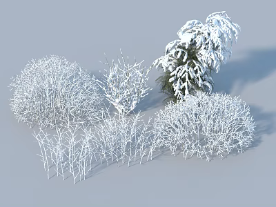 Snow Covered Trees With Different Shapes Sizes And Bushes In Winter Scene 3d model