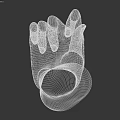 Anatomically Detailed Human Hand with Palm Up and Naturally Curved Fingers Against Gray Background