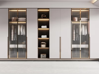 Elegant Modern Wardrobe Interior With Glass Doors Metal Frames And Storage Drawers 3d model