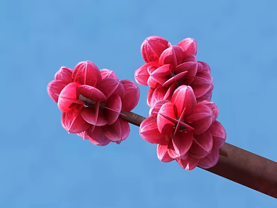 Fresh Vibrant Pink Blooming Flowers On Brown Branch With Blue Background 3d model