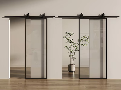 Modern Glass Barn Doors With Black Frames On White Walls And Wooden Floor 3d model