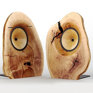 Modern sound wood sound 3d model