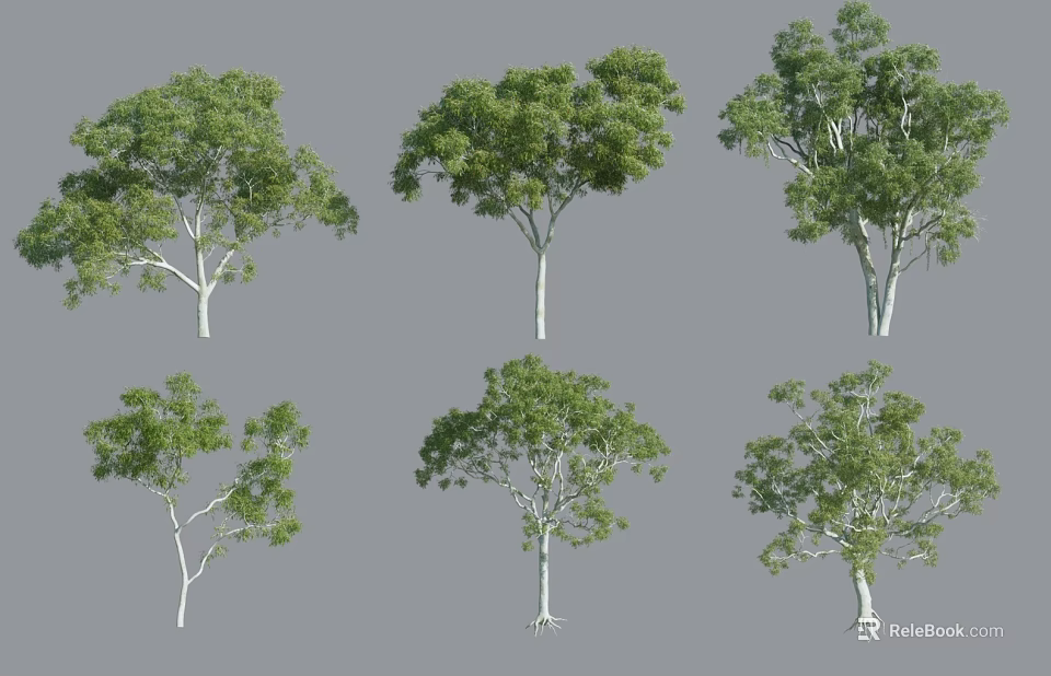 Various Arbor Trees With Different Shapes Green Leaves And White Trunks 3d model 