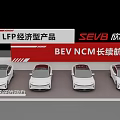 SEVB BEV Electric Vehicles With LFP Economy And NCM Long Range Products