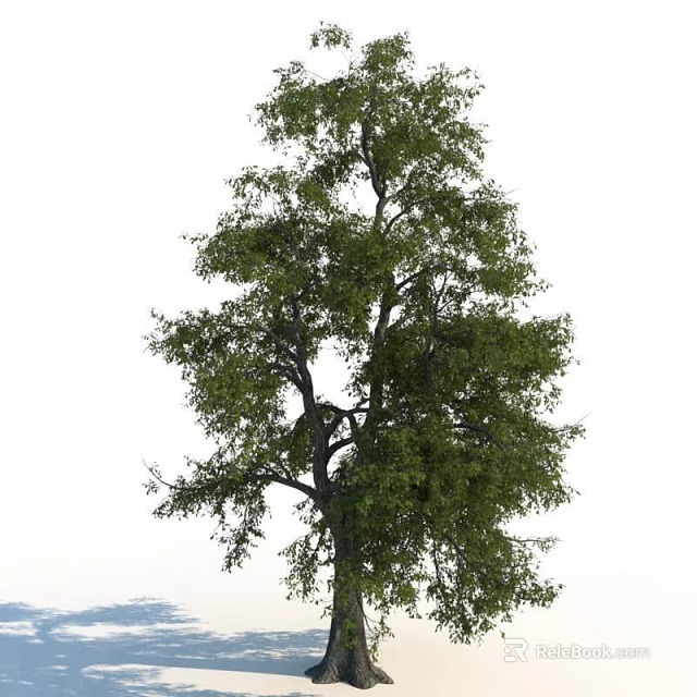 Tall Arbor With Lush Green Leaves And Thick Trunk Mountain Backdrop 3d model 