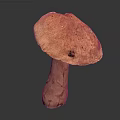 Fresh Orange Vegetable Mushroom with Smooth Cap and Firm Stem on Dark Background 3d model