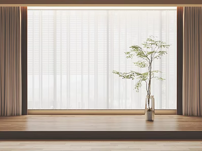 White Sheer Curtains Blinds and Side Drapes by Window with Wooden Floor and Potted Plant 3d model