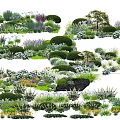Various Garden Flowers And Bushes With Purple White Blooms And Green Plants
