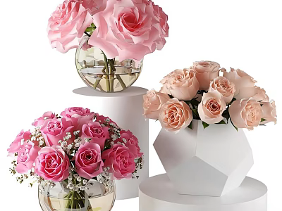 Pink And Light Pink Roses In Transparent And White Geometric Vases On Pedestals 3d model