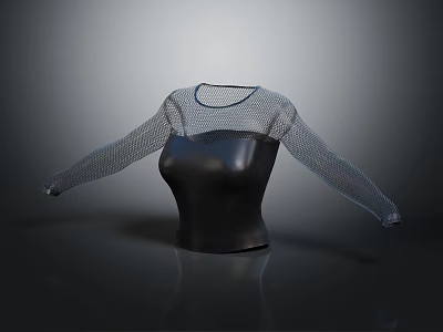 Stylish Black Fitted Top With Mesh Long Sleeves And Modern Design 3d model