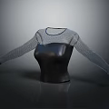 Stylish Black Fitted Top With Mesh Long Sleeves And Modern Design