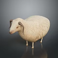 White Sheep With Curved Horns And Fluffy Wool On Dark Background Displaying Smooth Reflection