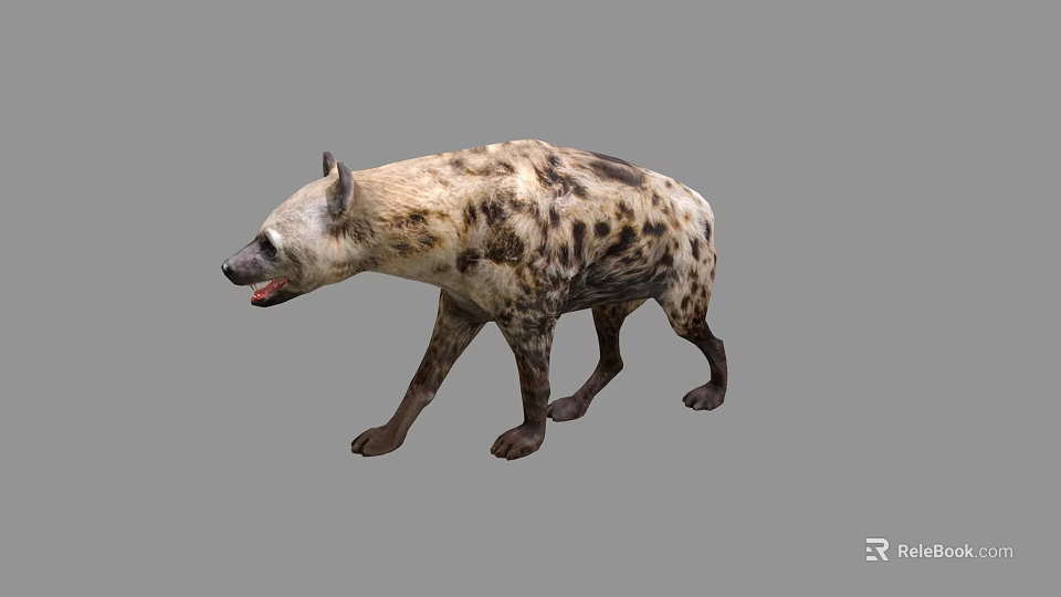 Realistic Spotted Hyena 3D Model With Open Mouth Walking Pose 3d model 