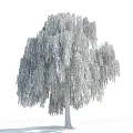 Weeping Willow Tree With Long Green Drooping Branches Under Clear Blue Sky With White Clouds 3d model