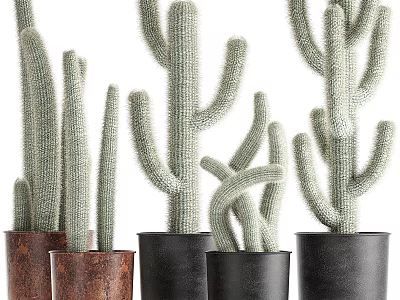 Modern potted plant potted plant potted cactus plant flower pot flower wall greening wall plant wall vertical garden 3d model