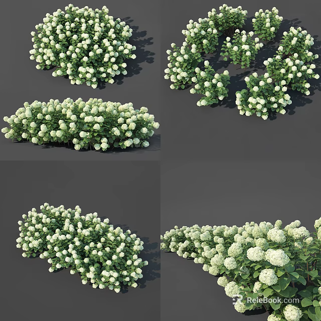 White Flowering Shrubs with Lush Green Leaves in Dense Clusters Various Angles 3d model