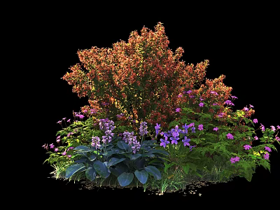 Vibrant Orange Red Shrub With Purple Flowers And Green Leaves In Garden 3d model