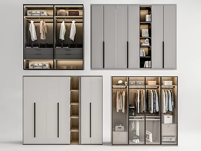 Modern Functional Wardrobe Interior Design With Hanging Rods Drawers And Storage Shelves 3d model