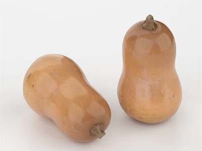 Two Fresh Ripe Whole Light Brown Butternut Squash Vegetables For Cooking 3d model
