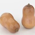 Two Fresh Ripe Whole Light Brown Butternut Squash Vegetables For Cooking