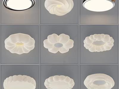 Modern Ceiling Lights With Various Stylish Decorative Designs For Home Interior 3d model