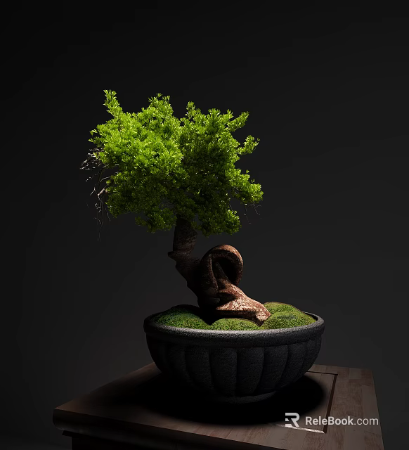 Bonsai Plant with Curved Trunk and Lush Green Leaves in Black Pot with Moss 3d model 