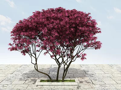Modern Tree Big Tree Flowering Plant 3d model Modern Tree Big Tree Flowering Plant 3d model