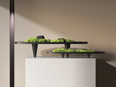 Modern Green Moss Bonsai Display On Black Trays And White Pedestal 3d model