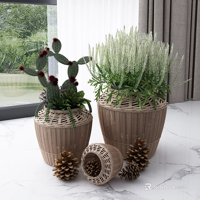 Woven Baskets With Cactus And Herb Plants On Marble Countertop Near Window 3d model 