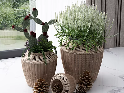 Woven Baskets With Cactus And Herb Plants On Marble Countertop Near Window 3d model