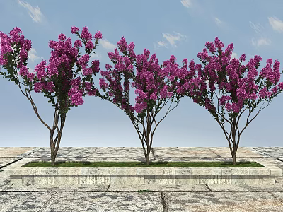 Three Trees With Purple Flowers Planted In Rectangular Stone Flower Bed Under Blue Sky 3d model