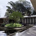 Serene Garden Landscape With Flowing Stream Lush Greenery And Modern Pavilion