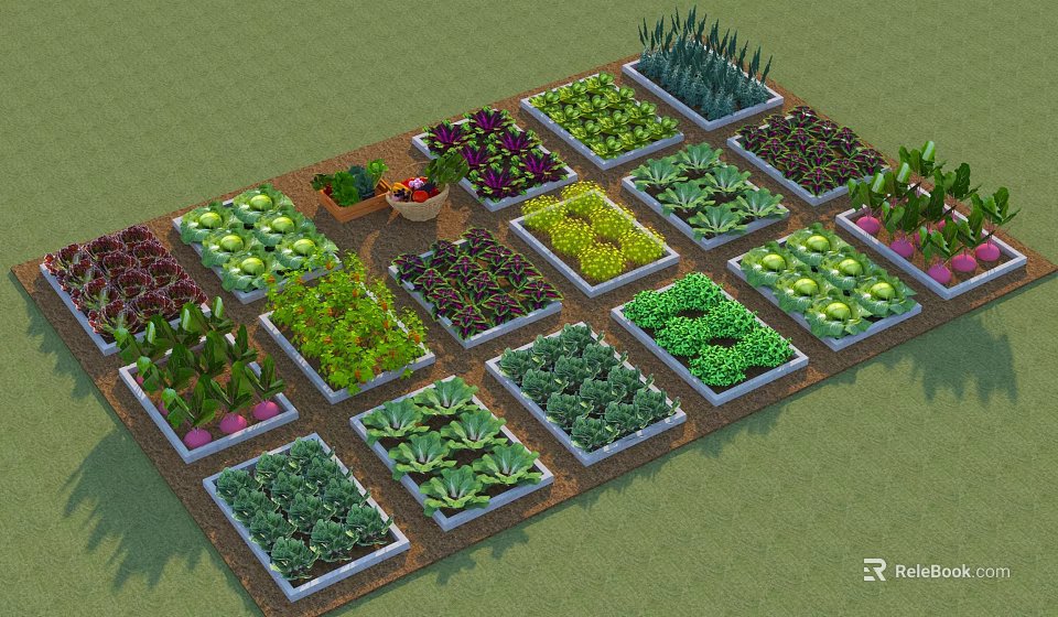 Organic Vegetable Garden With Square Planter Boxes And Various Green Purple Vegetables 3d model 