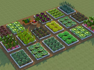 Organic Vegetable Garden With Square Planter Boxes And Various Green Purple Vegetables 3d model