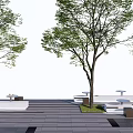 Functional Tree Planters with Green Trees and Benches Along Paved Walkway 3d model