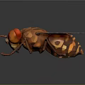 Polygonal Fly 3D Model with Large Red Eyes Transparent Wings and Detailed Legs