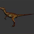 Realistic Velociraptor Dinosaur With Red Brown Yellow Skin Standing Pose And Detailed Texture