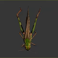 Modern grasshopper insect cartoon locust 3d model