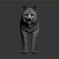 Realistic Standing Wolf 3D Model With Grey Fur Open Mouth And Dark Background 3d model